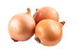 Onion_1