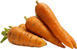 carrot_PNG4978